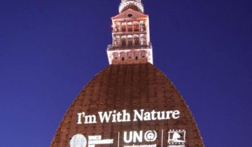 Projektionen_Mole_Turin